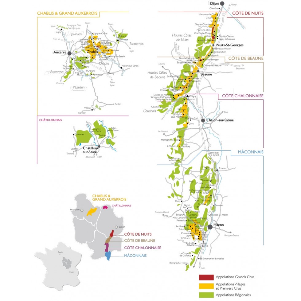 degustation-decouverte-de-la-bourgogne-viticole